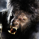 Illustration for article titled Wolfman Gallery